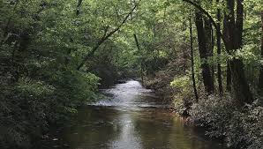 Smithgall Woods The Wilderness Within The Wild State Parks Trout Fishing Wilderness