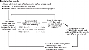 A Stepwise Method For The Introduction Of Basal Bolus