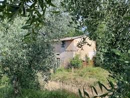Cerca e trova casa su casadaprivato.it Altro Fucecchio Vendita 115 000 00 210 Mq Cucina Abitabile Portaleagenzieimmobiliari It