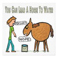 Lead A Horse To Water Photo Print ...