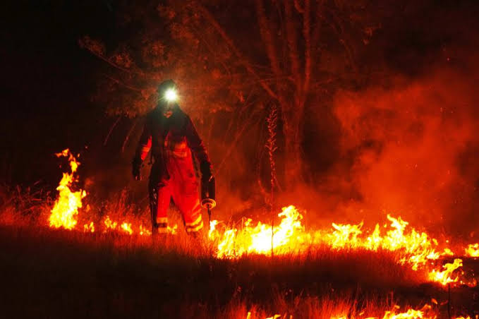Wildfires still burning in France and Spain amid fears of more to come |  Weather News | Al Jazeera