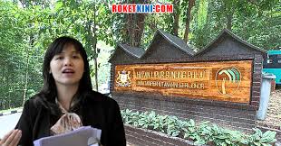 Pengalaman pertama kali mendaki gunung pulai. Jabatan Perhutanan Johor Diminta Kaji Semula Bayaran Permit Masuk Hutan Lipur Roketkini Com