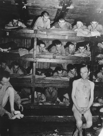 Liberation of Nazi Camps - Photograph | Holocaust Encyclopedia