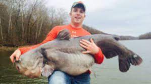 Tennessee Man Reels In Huge Catfish In Cumberland River Wreg Com