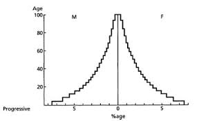 Types of population pyramids and what they mean. Population Pyramids Meaning And Types Gktoday