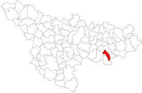Cod postal timis, sanpetru mare 307457: Gavojdia Wikipedia