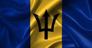 It was chosen from a government organized open competition of 1,029 entries of which gained him a gold medal. Barbados Constitution Amendment Passed In Lower House Constitutionnet