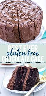 The Best Gluten Free Chocolate Cake Recipe Recipe In 2020 Gluten Free Chocolate Cake Gluten Free Chocolate Cake Recipe Dessert Recipes Easy