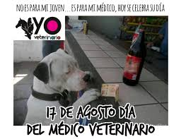 El 17 de agosto se celebra en méxico el día del médico veterinario zootecnista, fecha en la que se fundó la primera escuela veterinaria en nuestro país y en el continente americano, en 1853. Yo Veterinario Ø¹Ù„Ù‰ ØªÙˆÙŠØªØ± Hoy Se Celebra El Dia Del Medico Veterinario En Mexico Felicidades A Todos Nuestros Colegas Yoveterinario Diadelveterinario Cienciasveterinarias Https T Co Zvmsfqscis