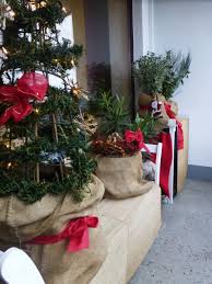 22 jedes mal, wenn ihr einem menschen freude bereitet. Weihnachtsdeko Meeresbrise Von Seestern 36182 Zimmerschau