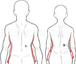 Check spelling or type a new query. How To Draw A Back Step By Step Drawing Guide By Dawn Dragoart Com