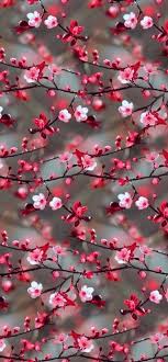 Flowers Wallpapers Amazing Pretty Wallpapers In 2020 Floral Wallpaper Iphone Beautiful Nature Wallpaper Floral Wallpaper