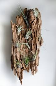 Check spelling or type a new query. Clean And Preserve Driftwood How To Sandbetweenmypiggies Com