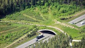 Widerstand in china das haus auf der autobahn panorama. Tierbrucken Auf Vier Pfoten Uber Die Autobahn Geo
