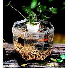 Mini Clear Acrylic Betta Aquarium Fish Tank Breeding Isolation Box W Water Pump Walmart Canada