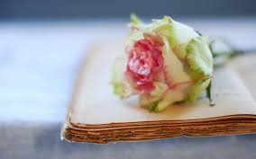 If you're in search of the best vintage flowers wallpaper, you've come to the right place. Old Book With A Rose Flower Wallpaper Flowers Wallpaper Better