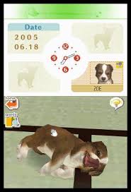 You know, like from that movie. Puppy Tricks Nintendogs Chihuahua Friends Wiki Guide Ign