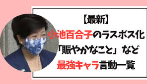 最新 小池百合子のマスク全柄 生地が買える店まとめ デニム レース ペイズリー 小顔効果も トーキョーカウチポテト マスク 顔 画像 生地