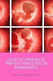Que Ocurre En El Primer Trimestre De Embarazo In 2020