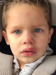 Heartbreak from a broken vase