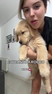 Rocco Adolescente: La Diversidad de Razas Caninas