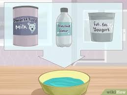 How To Feed A Baby Squirrel 15 Steps With Pictures Wikihow
