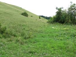 Use our free omegle neresheim alternative, start video chat instantly, join neresheim chatroom now. Wanderwege In Neresheim Die Schonsten Touren Der Region
