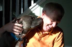 A St. Louis Photojournalist Documents The Largest Fight Dog Rescue In U.S.  History—and A Lot Of Happy Endings