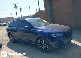 Image result for Navarra Blue 2021 SQ7