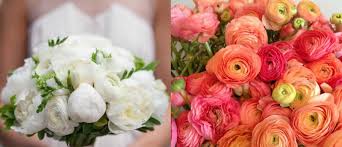 Aug 10, 2021 · the 23 best wedding gift ideas for all types of couples and budgets the 20 best 19th anniversary gifts for a lasting love where to register: 7 In Season Wedding Flowers For The July Bride Wedded Wonderland