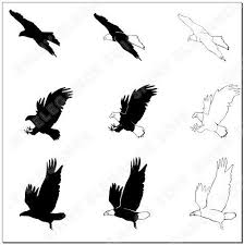 Black And White Silhouette Black And White Eagle Clipart Pin By Vickie Wulf On Migizi Bird Silhouette Art Flying Bird Silhouette Bird Drawings