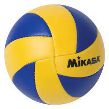 The international volleyball hall of fame is a nonprofit committed to preserving the history of volleyball in its birthplace of holyoke, massachusetts usa by honoring, promoting and sharing its story with the world. Volleyball Kaufen
