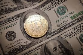 It's also an asset ibm has its own blockchain. Bitcoin Helping Investors To Grow Wealth Crypto Experts And Strategists