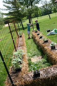 4 The Love Of Family How To Plant A Straw Bale Garden Strawbale Gardening Straw Bale Gardening Hay Bale Gardening