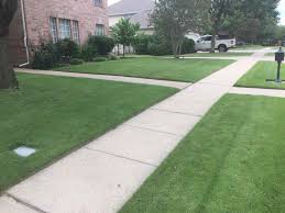 Well the cool thing is that zoysia is similar in cost to the garden variety saint augustine lawn. Zoysia Grass In Dallas Texas Frisco Plano Mckinney Flower Mound Little Elm