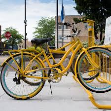 Image result for Yellow 2016 Fleet