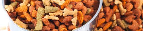 We did not find results for: Imperial Beach Pet Hospital Imperial Beach Ca Groupon