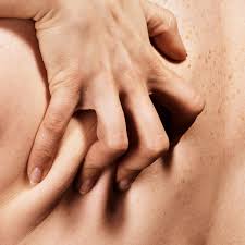 成人版」Instagram 引發爭議！OnlyFans「禁止色情內容」事件到底是怎麼一回事？ | GQ Taiwan