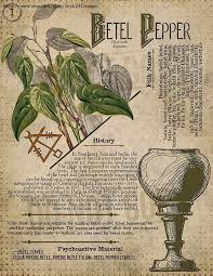 No 14 Book Of Shadowsprintable Pages Of Ritual Poisonous Etsy In 2020 Book Of Shadows Herbal Magic Witchcraft