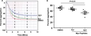 1 day ago · this free currency exchange rates calculator helps you convert us dollar to philippine peso from any amount. The Heterotrimeric G Protein Gb1 Interacts With The Catalytic Subunit Of Protein Phosphatase 1 And Modulates G Protein Coupled Receptor Signaling In Platelets Journal Of Biological Chemistry