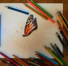 Art pencils & charcoal └ drawing & lettering supplies └ painting, drawing & art supplies └ crafts all categories antiques art baby books, comics & magazines business, office & industrial cameras & photography cars, motorcycles art pencils & charcoal. When Boredom Strikes Medium Faber Castell Colour Pencil Drawing Butterfly Step By Step Steemit