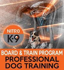 If the breeder will not allow you at their home, then that is a huge red flag. Dog Board And Train In Seattle Wa Nitro K 9 Llc