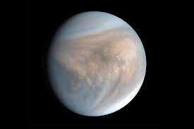 Life On Venus Astronomers See Phosphine Signal In Its Clouds The New York Times Venus' clouds are thick, but we've landed on and seen the surface. life on venus astronomers see