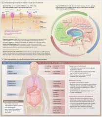 Image result for Addiction Pathophysiology