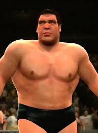 Check spelling or type a new query. Andre The Giant Wrestlemania S Main Event Wiki Fandom