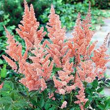 En nuestro surtido online encontrarás los productos de la sección jardín y ocio así como una amplia gama de otros productos. Pin Auf Vorgarten