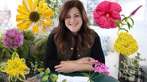 Another year and another exciting new group of introductions for proven winners perennials. Laura S Fave Perennials For 2020 Youtube