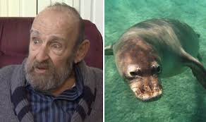 Elderly man who got stuck in Canada snow has life saved after being  mistaken for a SEAL