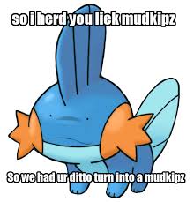 So Herd You Liek Mudkips Imgur