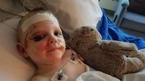 Maine woman killed in suicide